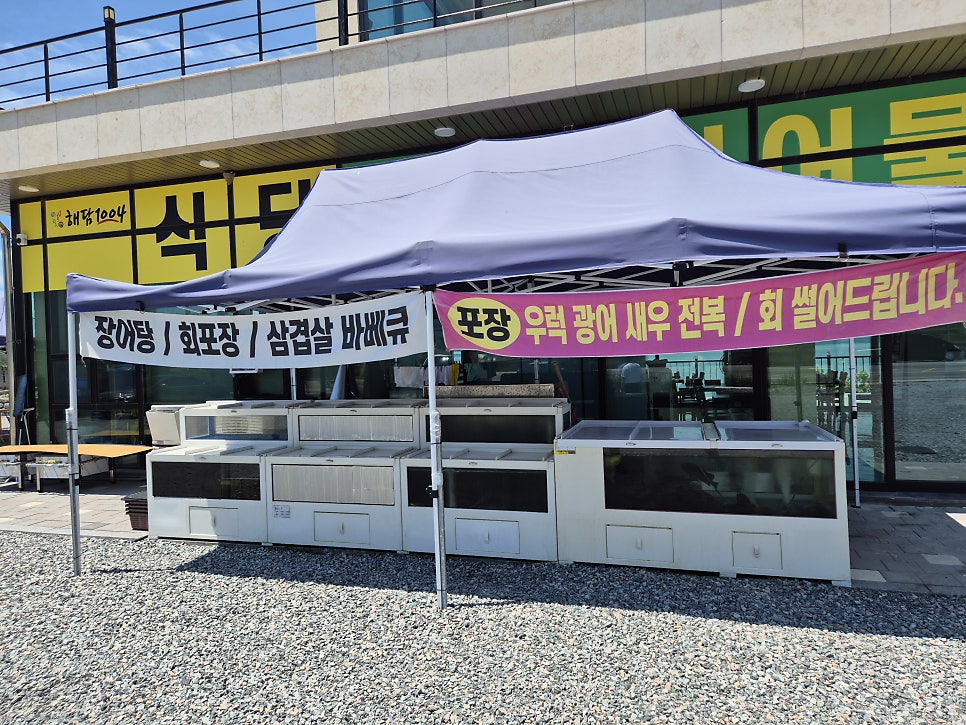 해담1004 사진 6