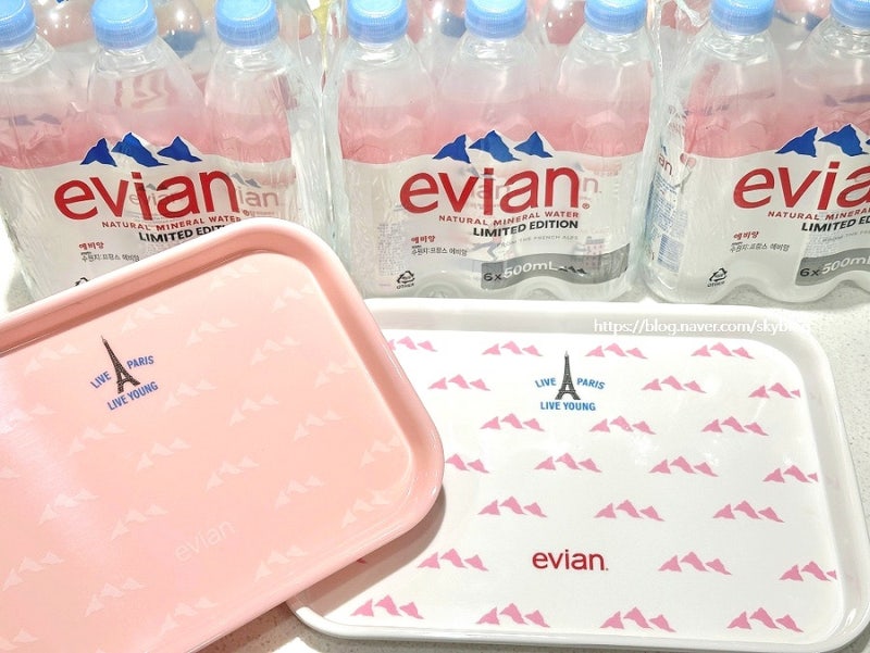 코스트코 에비앙 파리에디션 500ml 트레이 2종