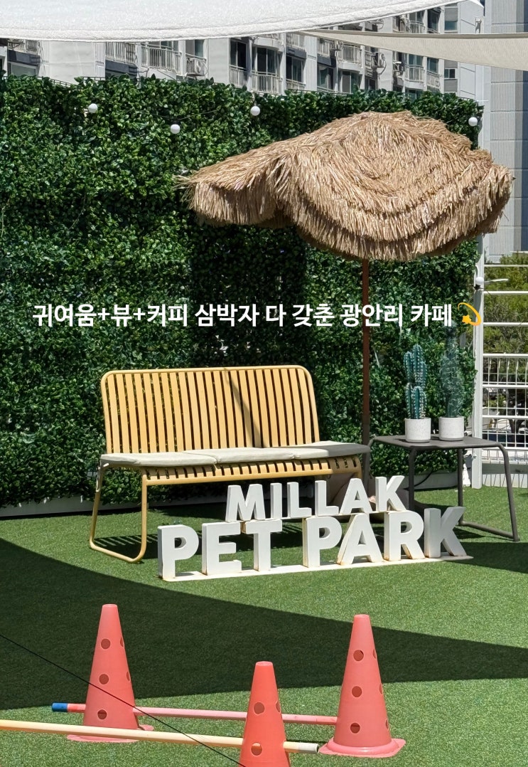  [광안리 애견동반 카페] 고더커피 민락DT점 & 민락펫파크 후기