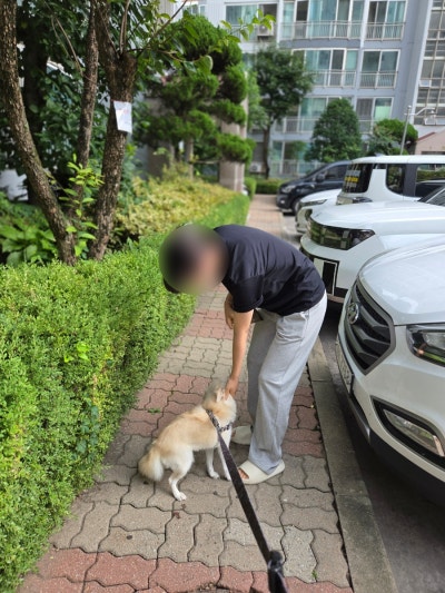 사진 2