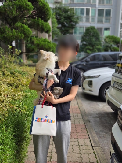 사진 3