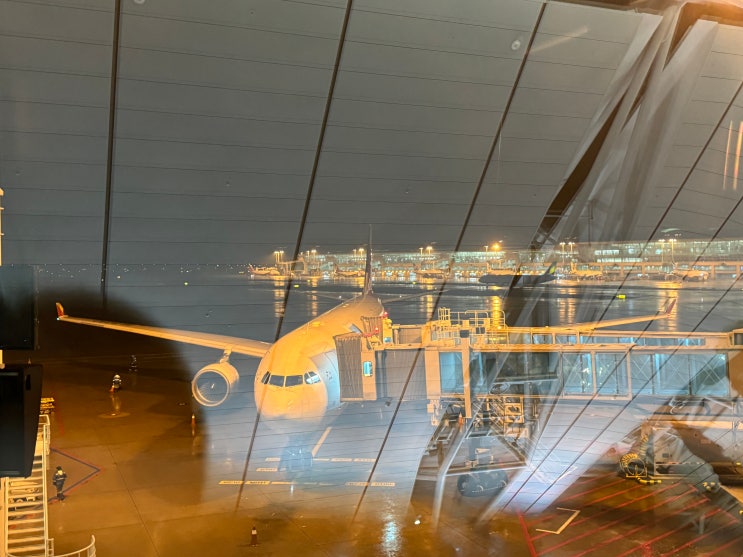  [20240920] 아시아나항공 OZ745 서울 인천 →홍콩 이코노미 탑승 후기 (ICN→HKG)