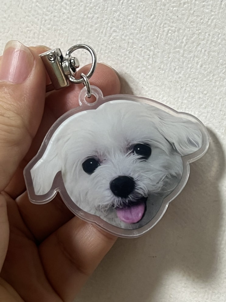  아크릴키링 제작, 주문제작으로 나만의 강아지 키링 만들기!  블랭커팩토리