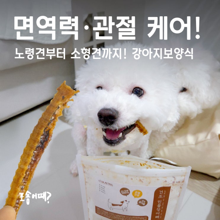  강아지장어 간식, 이렇게 잘 먹는다고요? 닥터펫팔 강아지보양식