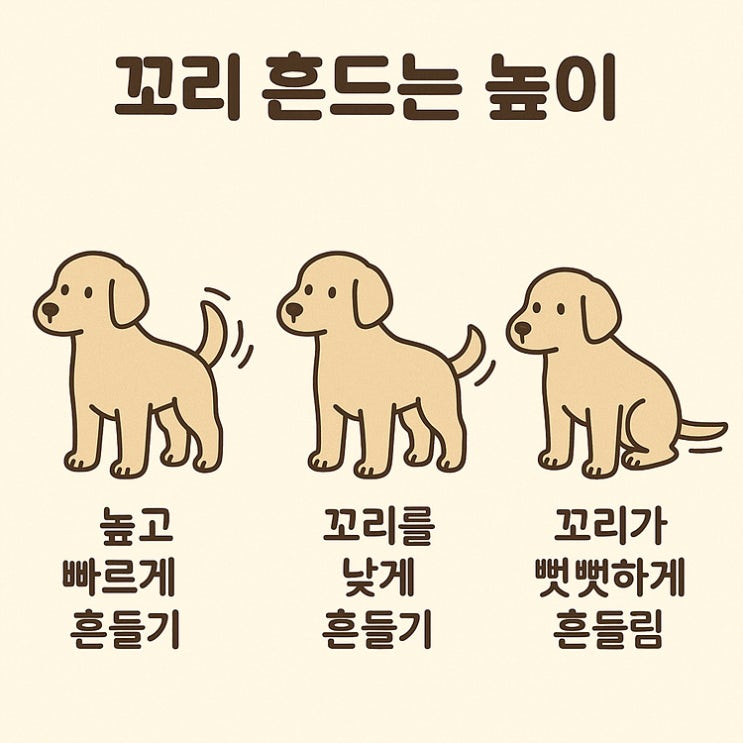  반려견 마음 읽기 (행동 의미)