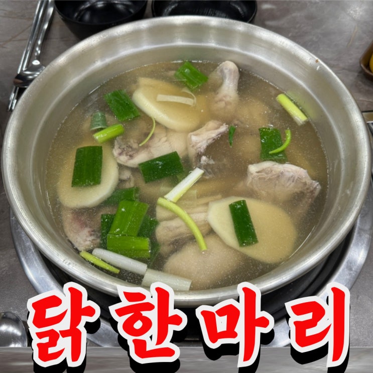  대전 정부청사 맛집 명동닭한마리 솔직 후기 (vs 닭백숙)