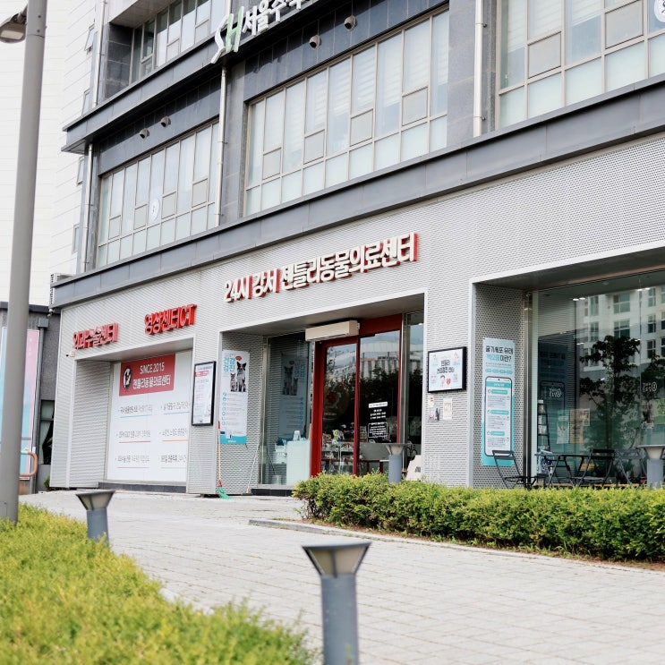  김포 동물병원 추천 24시젠틀리동물의료센터 고양이친화 인증병원에서 건강검진한 후기
