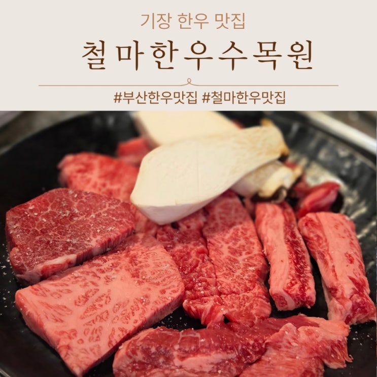  부산 기장 철마 맛집 한우 철마한우수목원 육회비빔밥까지 갓벽