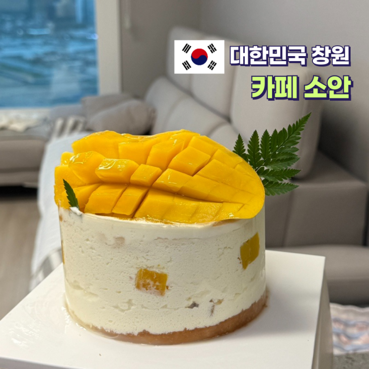  창원케이크 카페소안 생과일 망고 케이크로 생일 보낸 날