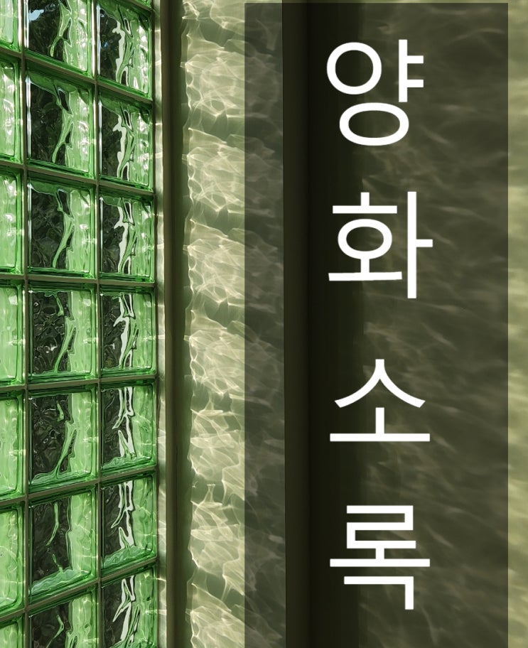  흑석골 양화소록 전주 갤러리 카페 추천