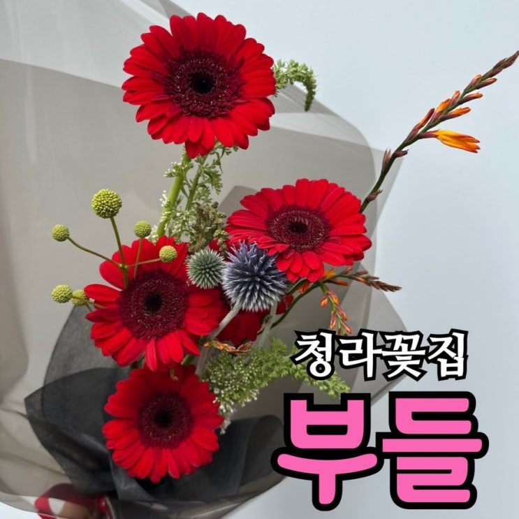  청라 꽃집 부들 후기｜35,000원 꽃다발로 여자친구랑 바로 화해 성공