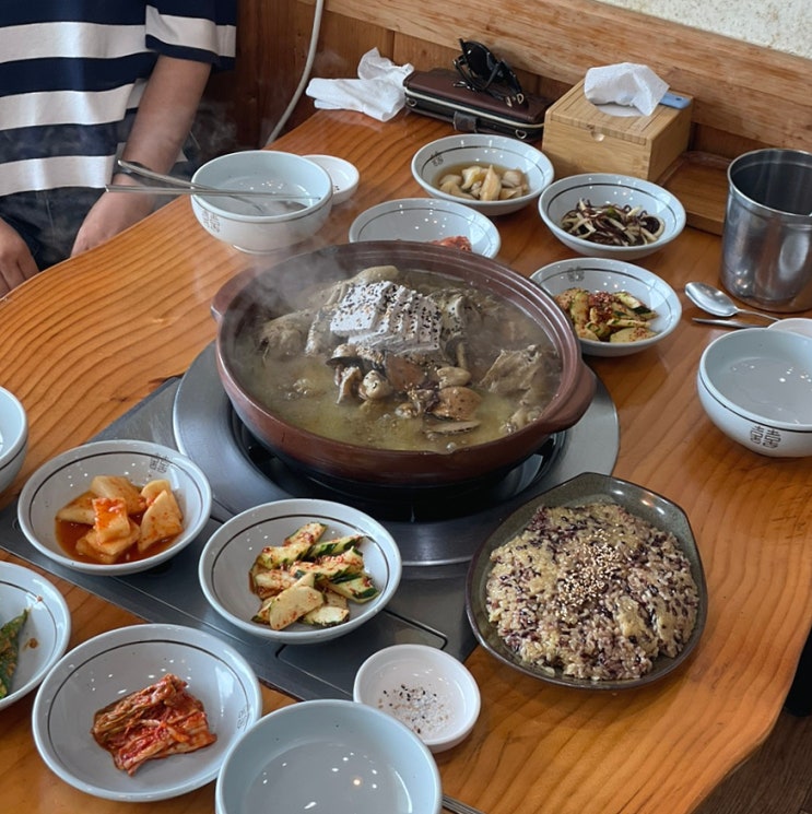  마산 진전면 백숙 맛집 선유정ㅣ옻오리,복날 가족 방문 후기
