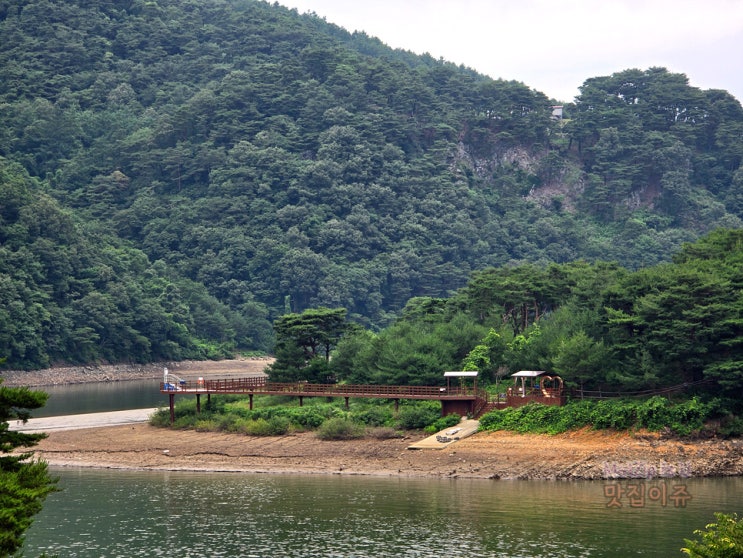  괴산여행 추천 산막이옛길 산막이마을에서 도토리묵과 막걸리