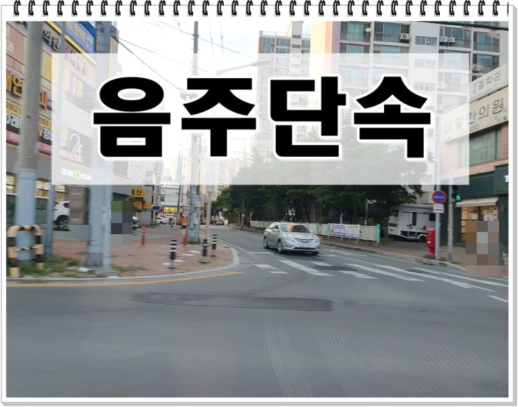  대구 음주단속 면허취소 생계형 구제