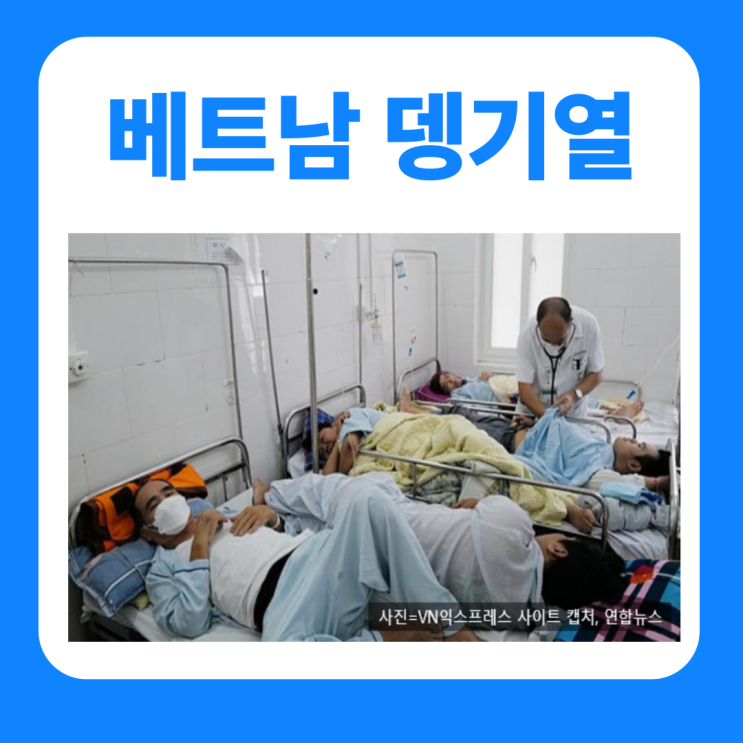  베트남 뎅기열 증상 원인 검사 예방 총정리