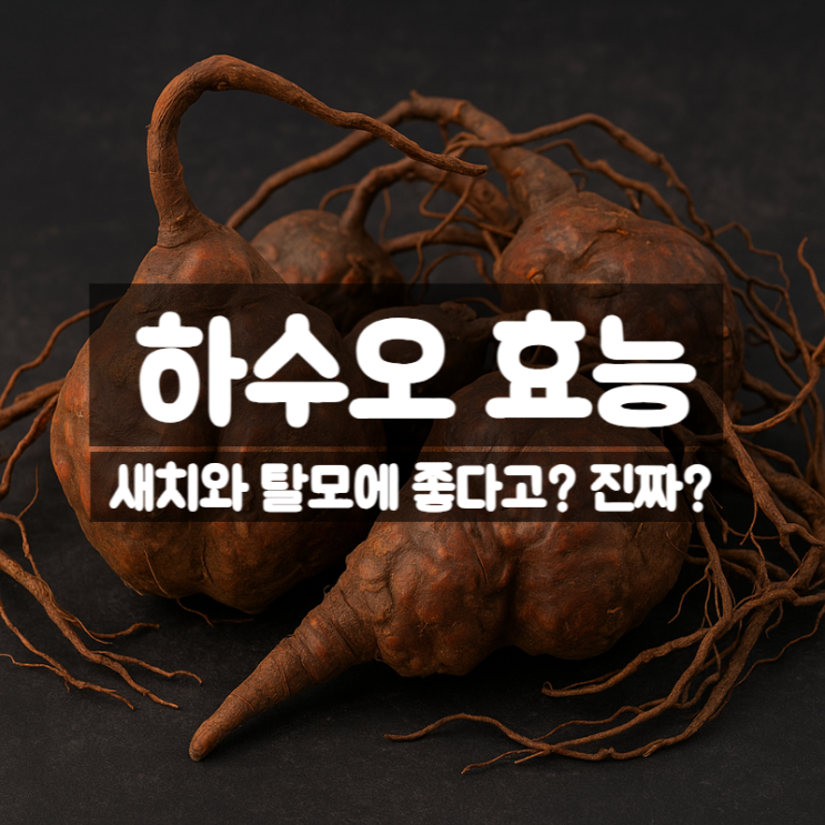  하수오 효능 부작용 먹는법 – 모발을 지켜주는 뿌리