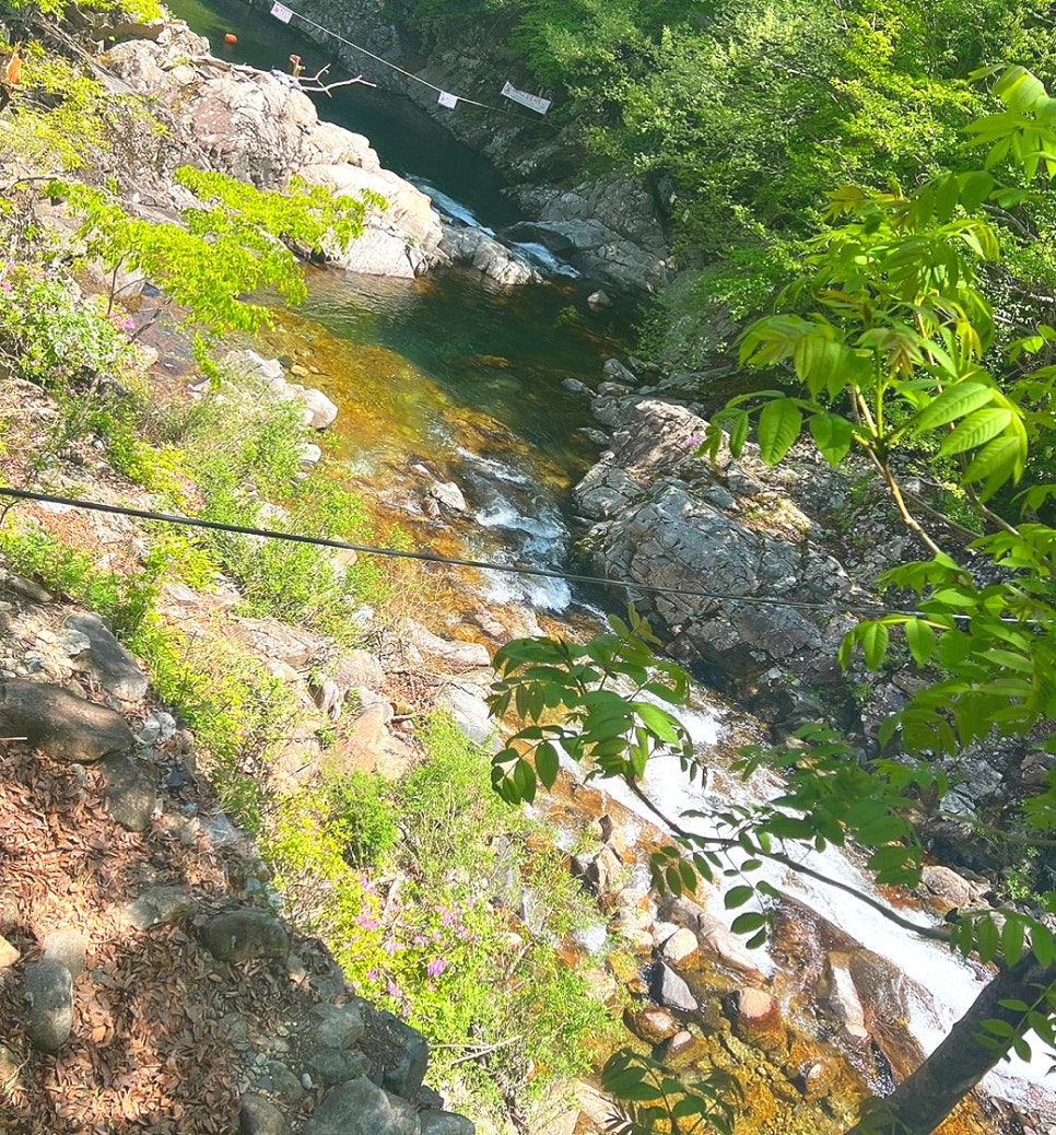 덕동펜션 사진 6