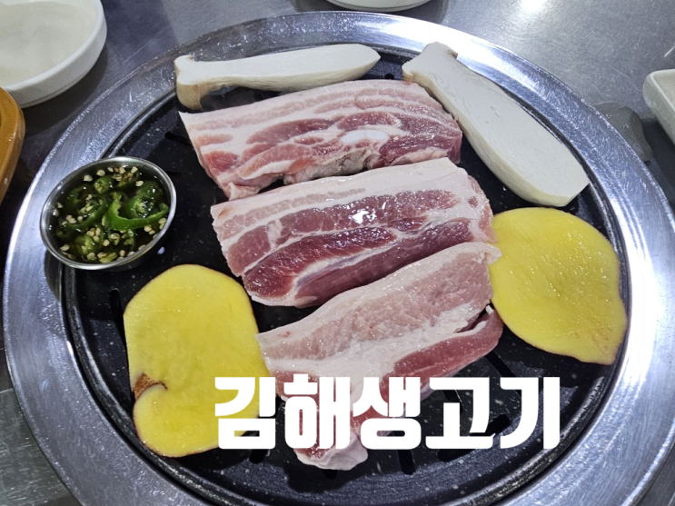  [부산 괴정 맛집] 괴정 최고의 고기집_김해생고기