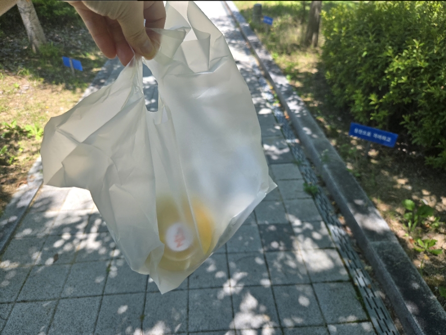마이푸룻 사진 6