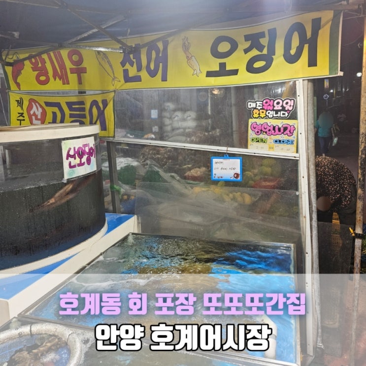  안양 호계동 회포장 맛집 호계어시장 | 산오징어회 후기