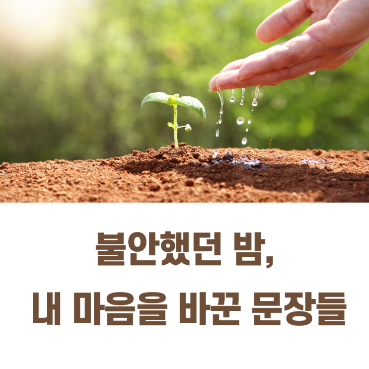  좋은 글귀 모음 | 불안할 때 마음에 힘이 되는 영어 문장