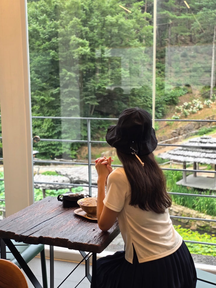  산청 가볼만한곳 수선사 연꽃 수국, 경남 산청 수선사 카페 실시간