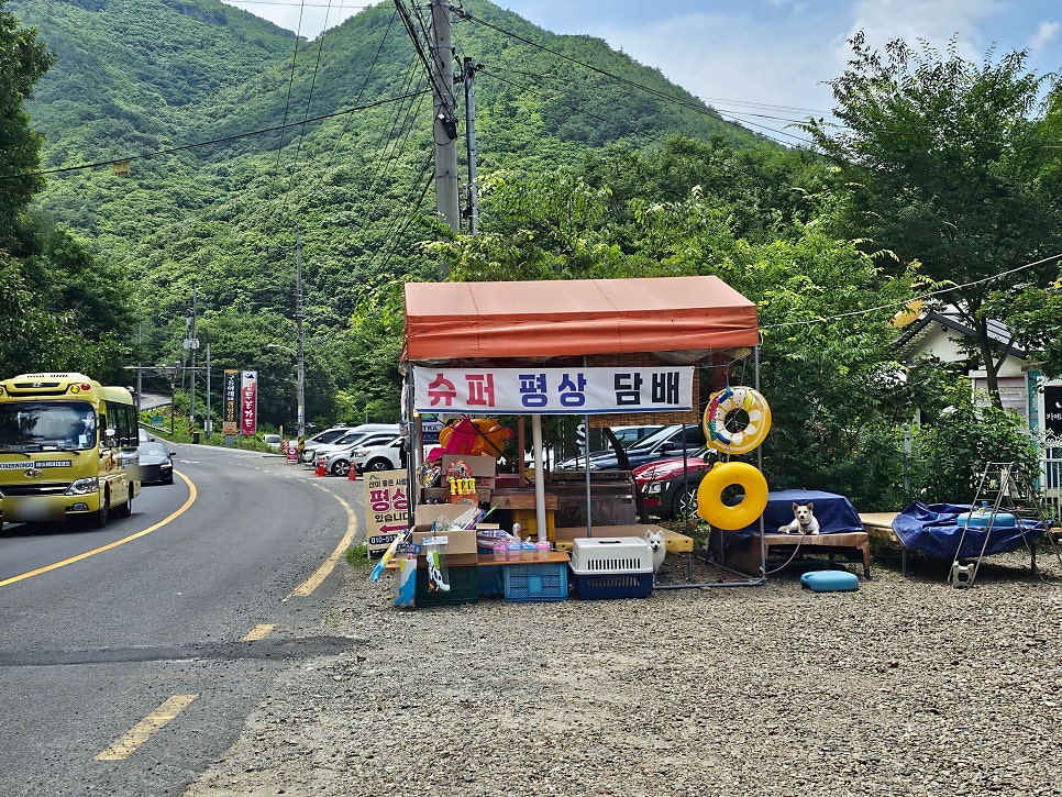산이좋은사람들 사진 3