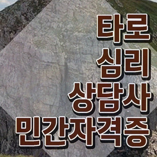  , 타로상담전문가 대학진학, 경력없이 간단하게 준비한 전략