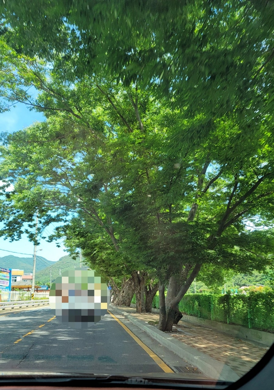 레드하우스쉼터 사진 2