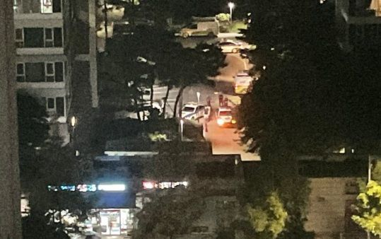  '아들 총격' 살해범, 27년 전 비디오방서 수갑·흉기 들고 여성 추행