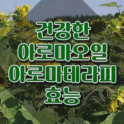  아로마뷰티diy지도사 공부 , 자격증 쉽고 빠르게 취득한 과정 및 취업