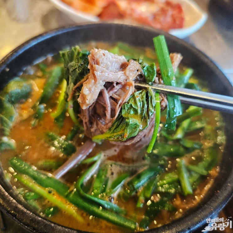  경기광주 먹보한우 우쭈리탕 보양식으로 좋은 소고기 양지 들깨 조합