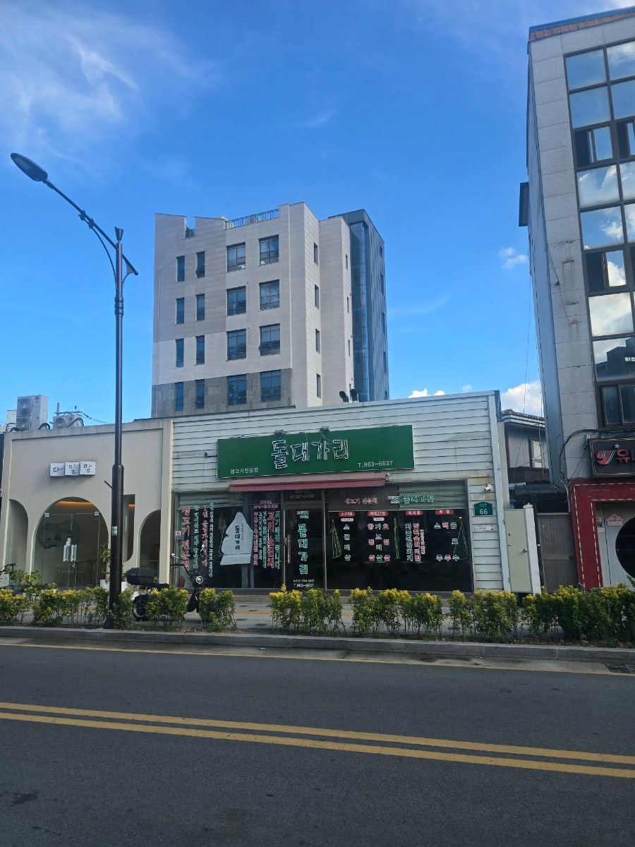 돌대가리 사진 1