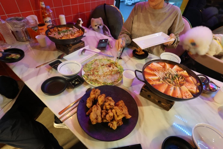  진접 애견동반 맛집 술로맨스 술도 있고 요리도 있고