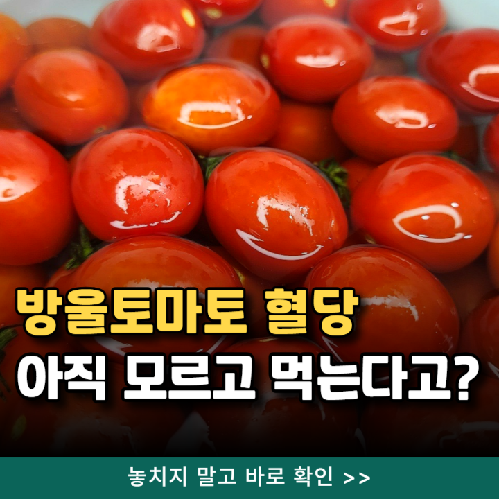  방울토마토 혈당 스파이크 모르고 먹을 뻔..