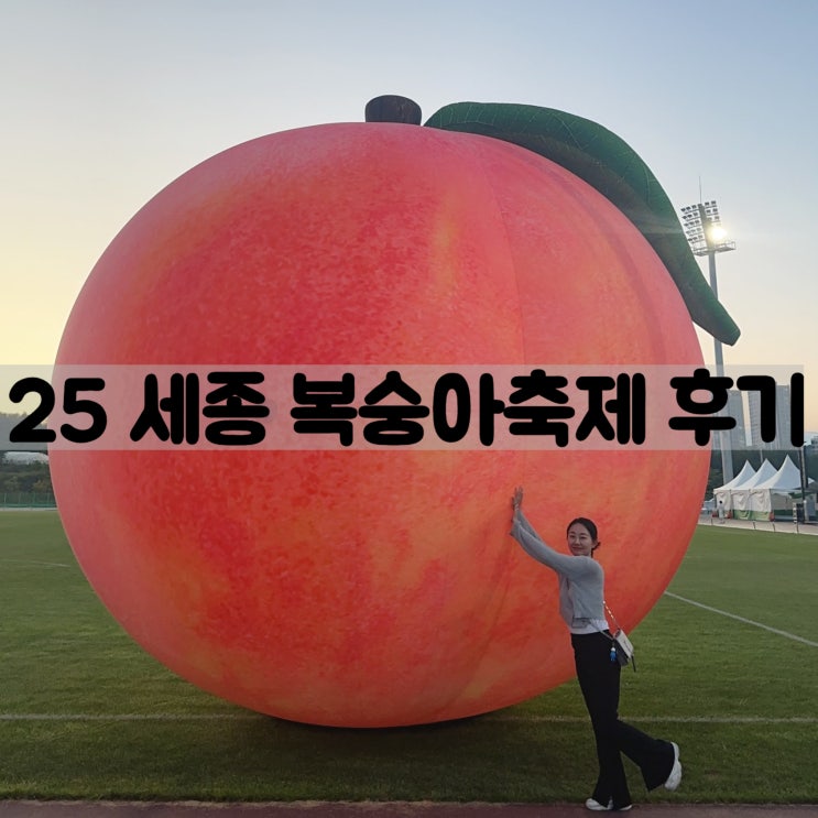  2025세종 조치원 복숭아축제 저녁방문 후기, 늦게가도 복숭아 구매 가능할까? 주차장 추천