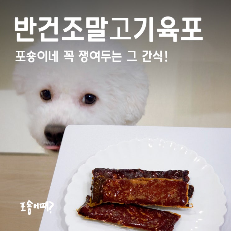  이쯤 되면 간식계 에르메스... 촵촵 반건조말고기육포 솔직후기