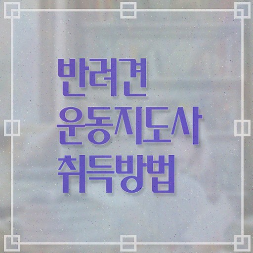  반려견운동지도사자격증 2주 만에 취득한 방법