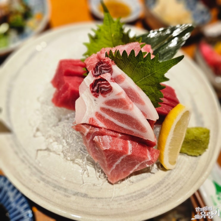  이천 참치선수 참다랑어 우니 조합 깔끔한 참치회