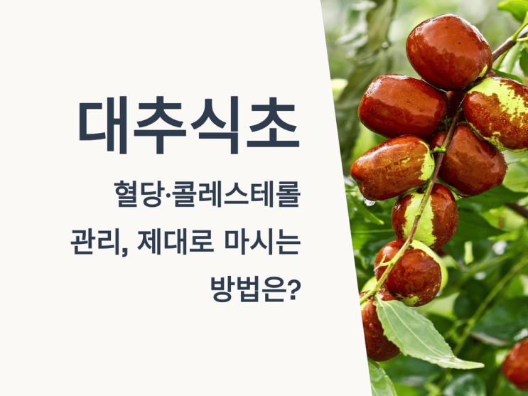  대추식초로 혈당·콜레스테롤 관리, 제대로 마시는 방법은?