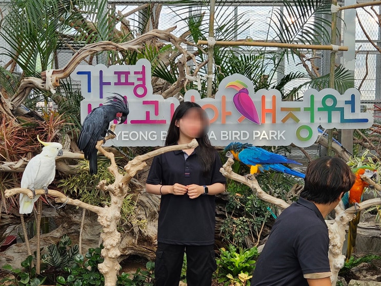  [가평] 가평베고니아새정원 후기
