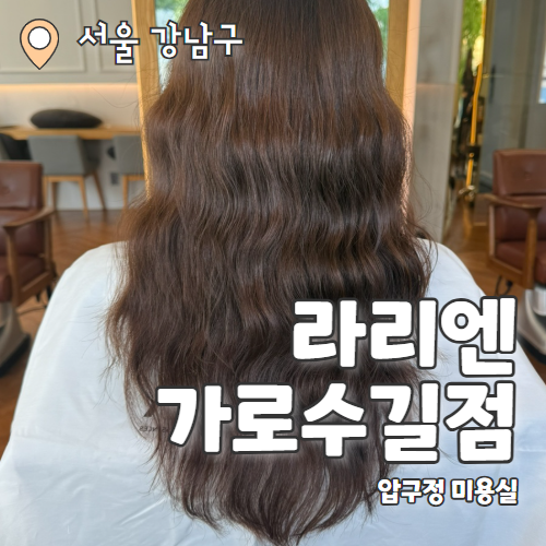  라리엔 가로수길점 : 아베다로 더 건강하게 클리닉 받고 온 가로수길미용실 추천후기