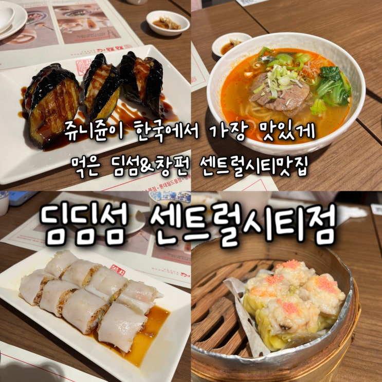  내돈내산 | 쥬니쥰피셜 한국에서 가장 맛있게 먹은 딤섬&창펀이 있는 센트럴시티맛집 “딤딤섬 센트럴시티점”