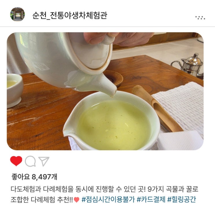   순천 '야생차체험관', 전통 다도체험과 다례체험️으로 힐링 시간