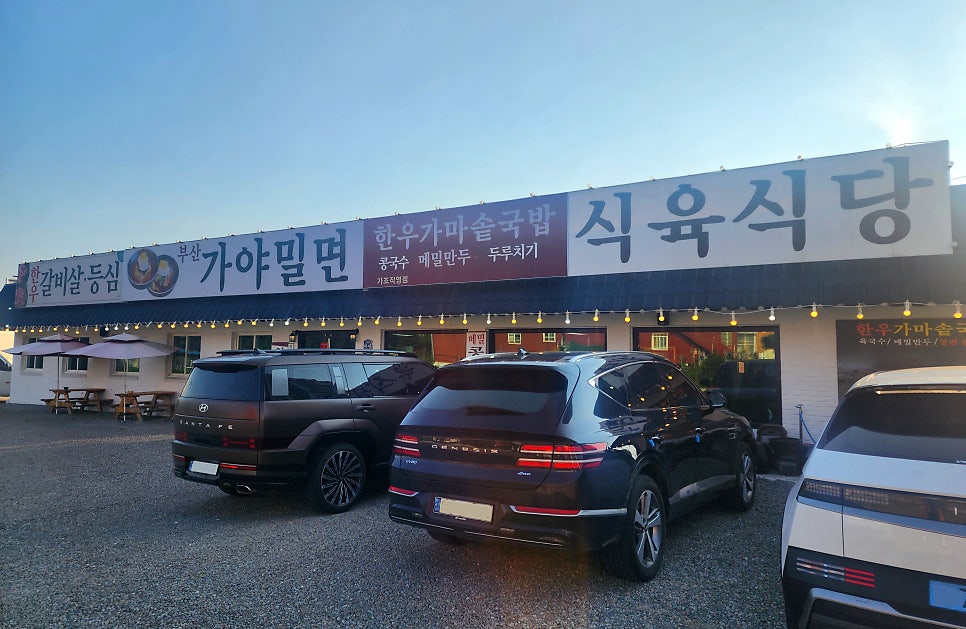 부산가야밀면 가조직영점 사진 2