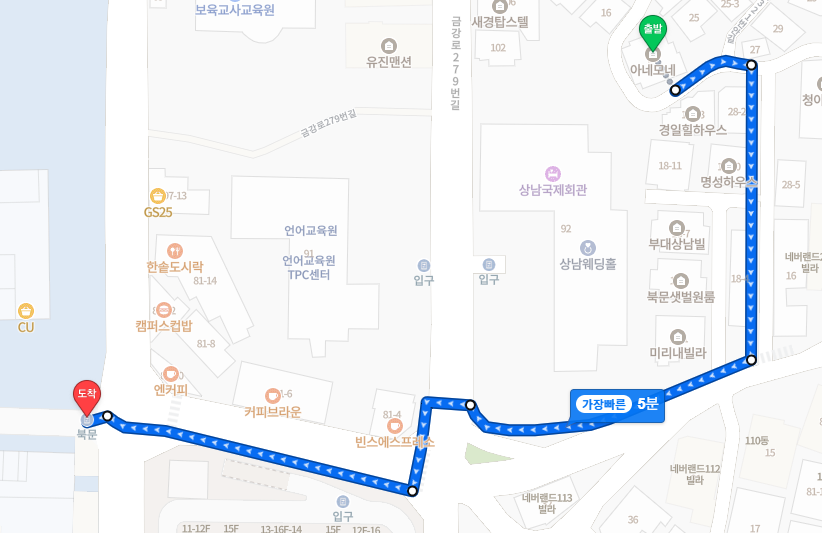 아네모네 사진 2