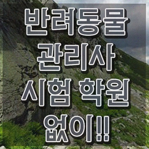  반려동물관리사 학원 , 반려동물관리사 자격증 합격한 비법 요약해봤어요