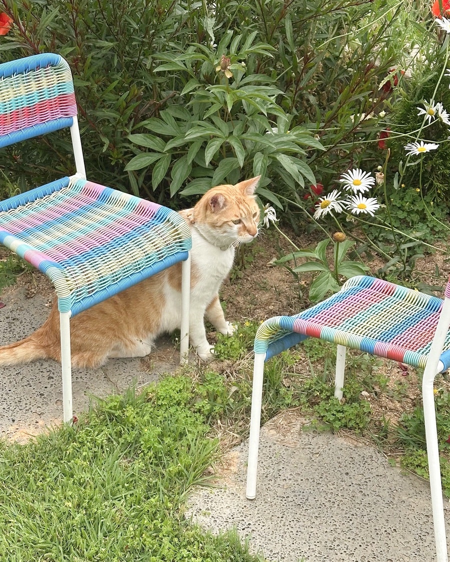 달산지 사진 3