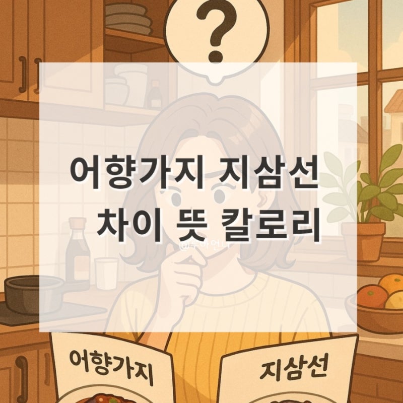 중식도 전략이 필요해! 어향가지 지삼선 차이 뜻 칼로리 알고 건강하게 먹기