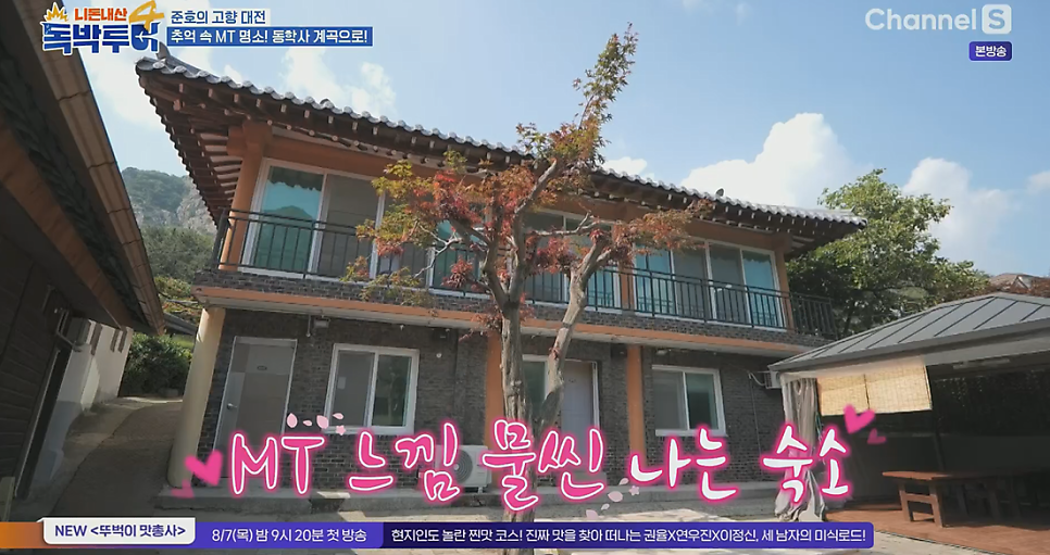 밤나무펜션 사진 4
